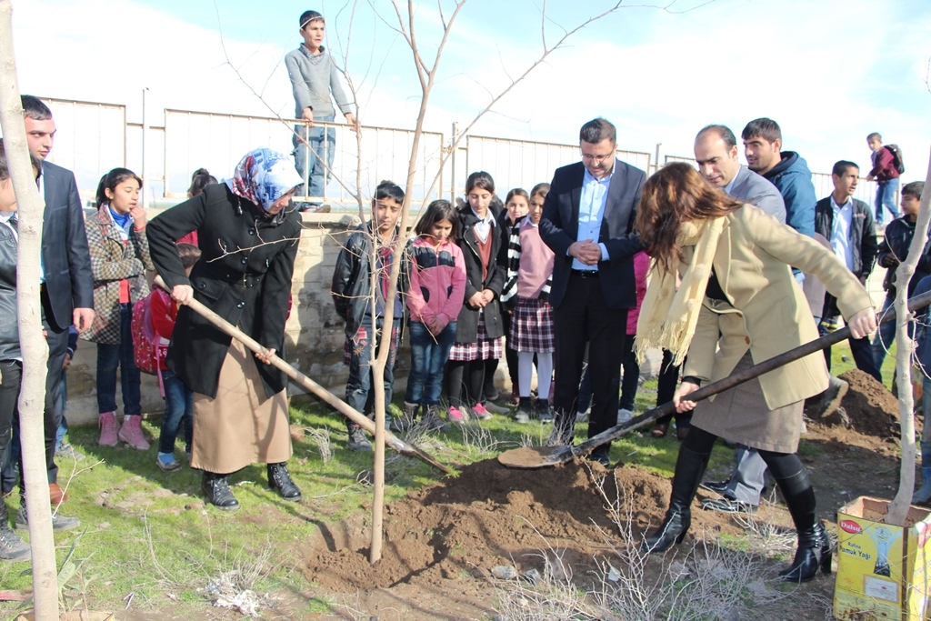 Her sınıf kenti ağacını dikti